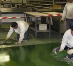 ucrete poissonerie2